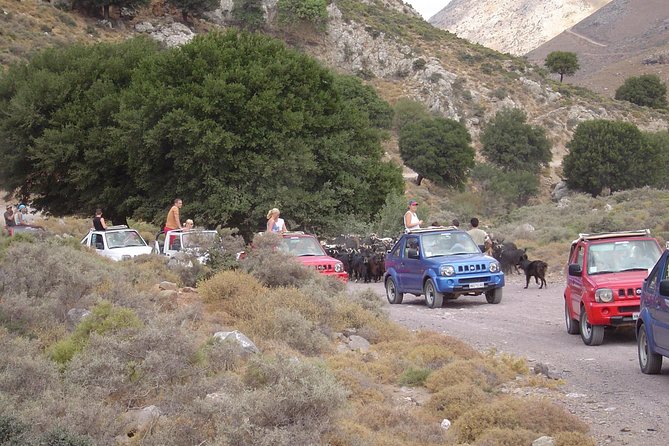 Off-road jeep safari convoy passing a goat herd in Crete
